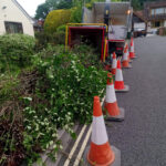 Cable bracing services The New Forest