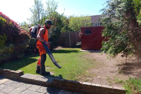 Emergency Tree Work The New Forest