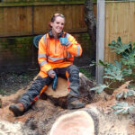 Professional Fallen Tree Removal The New Forest