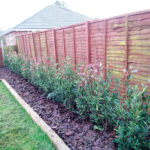 Tree and Hedge Row Planting The New Forest