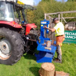 Tree service near me The New Forest