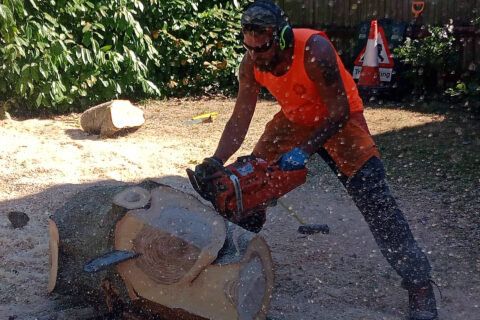 Stump Grinding <br> The New Forest