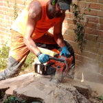 expert Cable bracing The New Forest