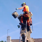 tree surgeon near The New Forest